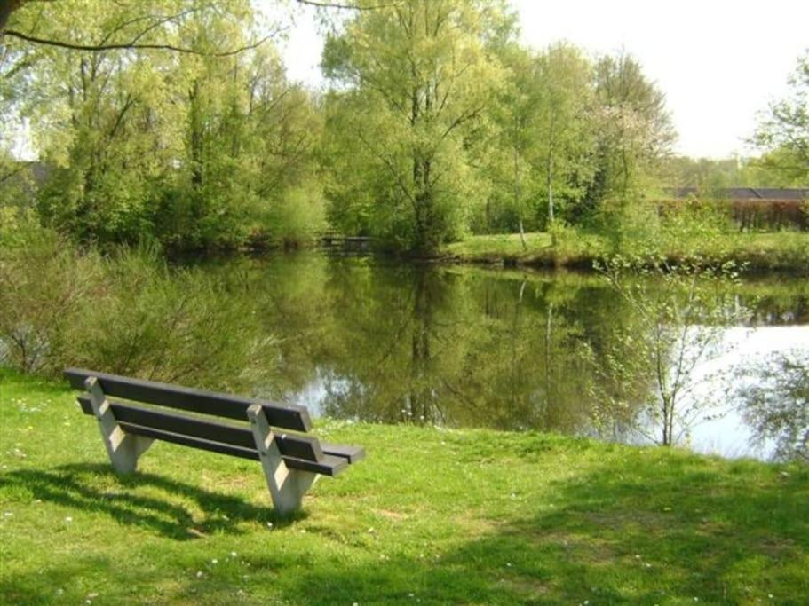 Vrijstaande Recreatievilla Met Ruime Omheinde Tuin Posterholt Екстер'єр фото